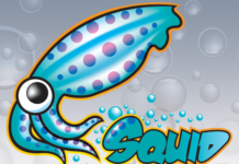 AWS EC2에 forward proxy 서버 만들기(squid proxy)