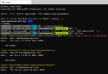 Windows powershell을 mac terminal처럼 예쁘게 꾸며보자(Oh-My-Posh)